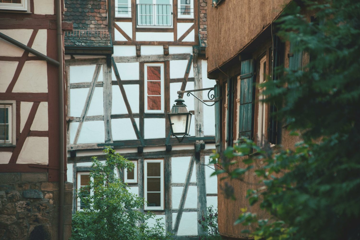 pexels-serge-vasilyev-1772573105-28572406